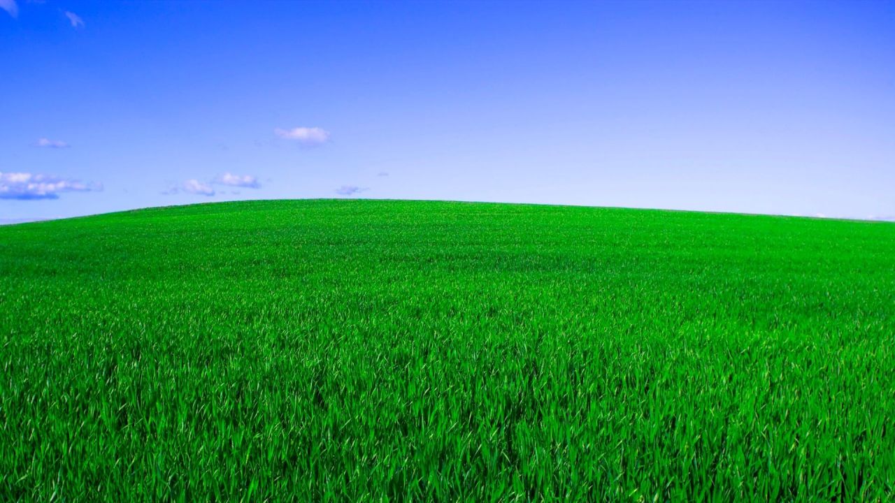 Green grass field under blue sky