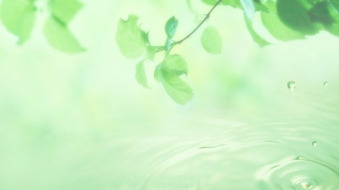 Green leaves and water droplets creating ripples on the water surface