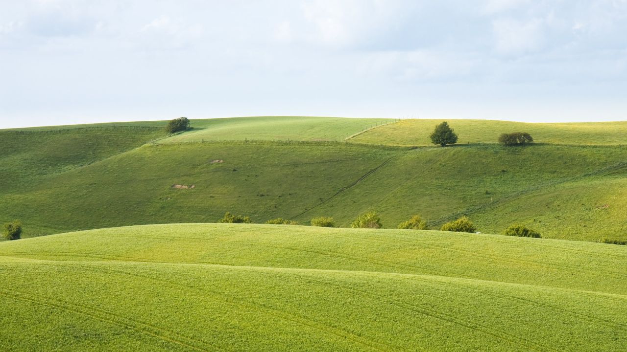 Rolling green hills landscape with trees