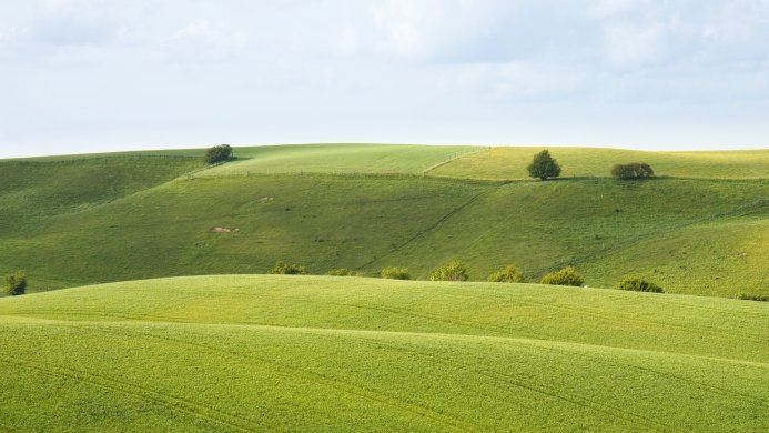 Rolling green hills with trees under a light blue sky