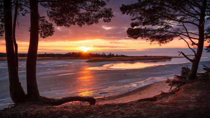 Lake landscape at sunset with trees and ice on the water, horizon line