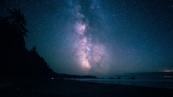Milky Way over a dark beach with silhouetted trees