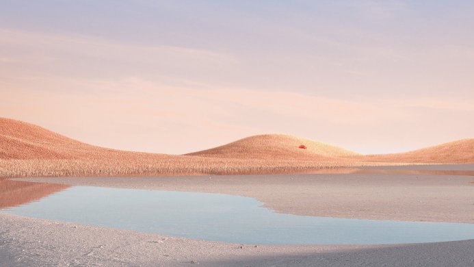 Minimalist landscape with hills, water, and a small shrub