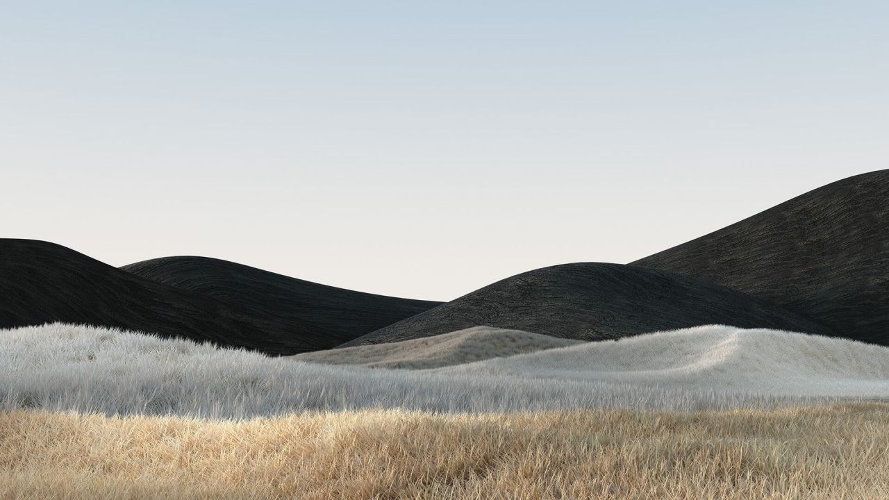 Mountains and grass landscape