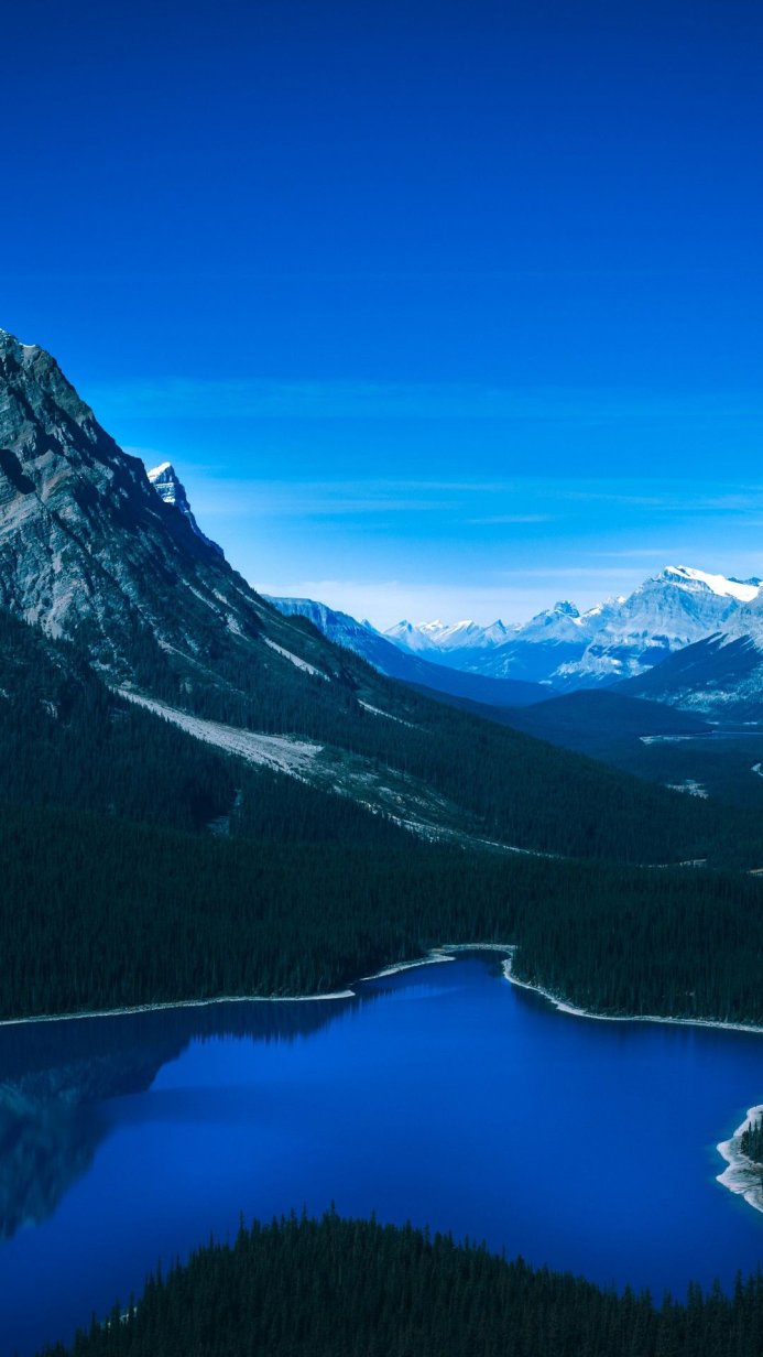 Panoramic view of a mountain lake surrounded by forest under a clear blue sky