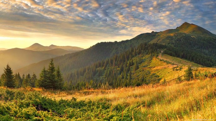 A beautiful mountain landscape with a forest and a cloudy sky at sunrise