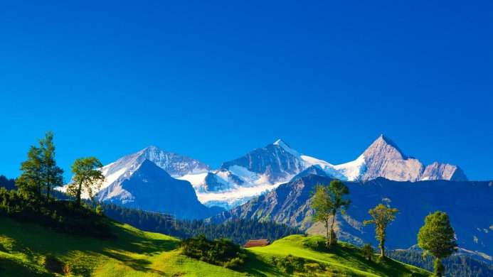 Snow-capped mountain range under a clear blue sky with a green hillside in the foreground