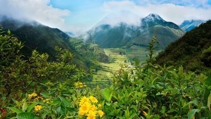 Mountain landscape with valley and green vegetation in the foreground