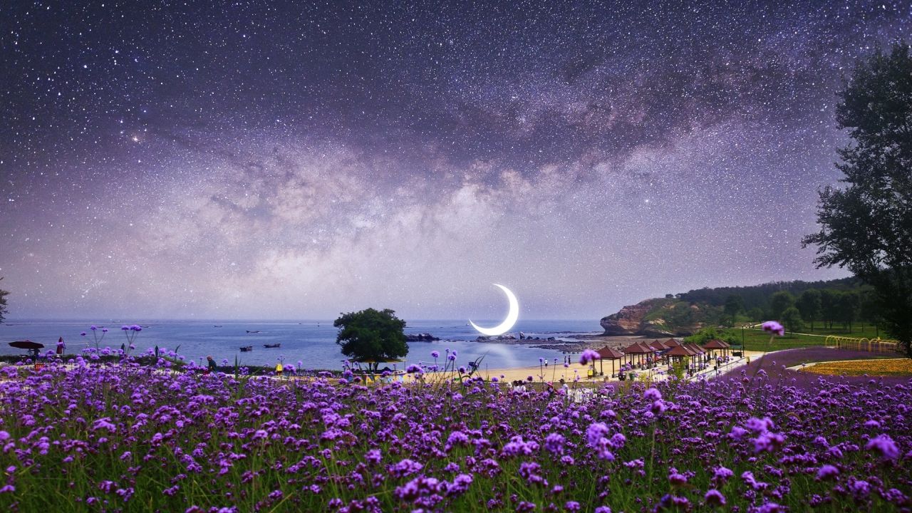Purple flowers against a starry sky and moon
