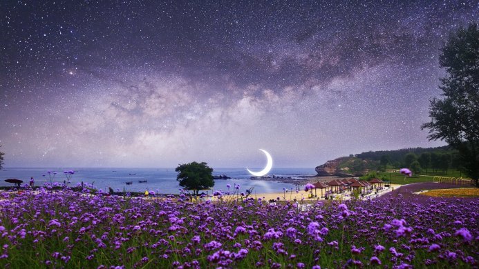 Night landscape with purple flowers, moon, and starry sky over a beach