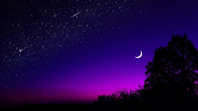 Night sky with stars, crescent moon, and silhouette of a tree