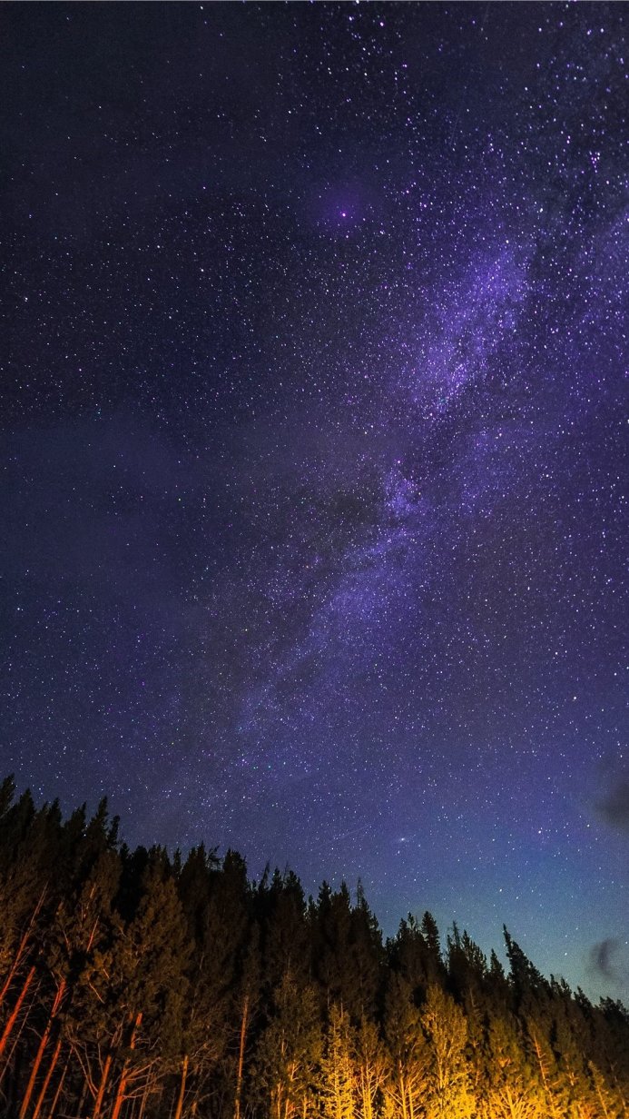 Night sky full of stars over a dark forest with orange lit trees at the bottom of the image
