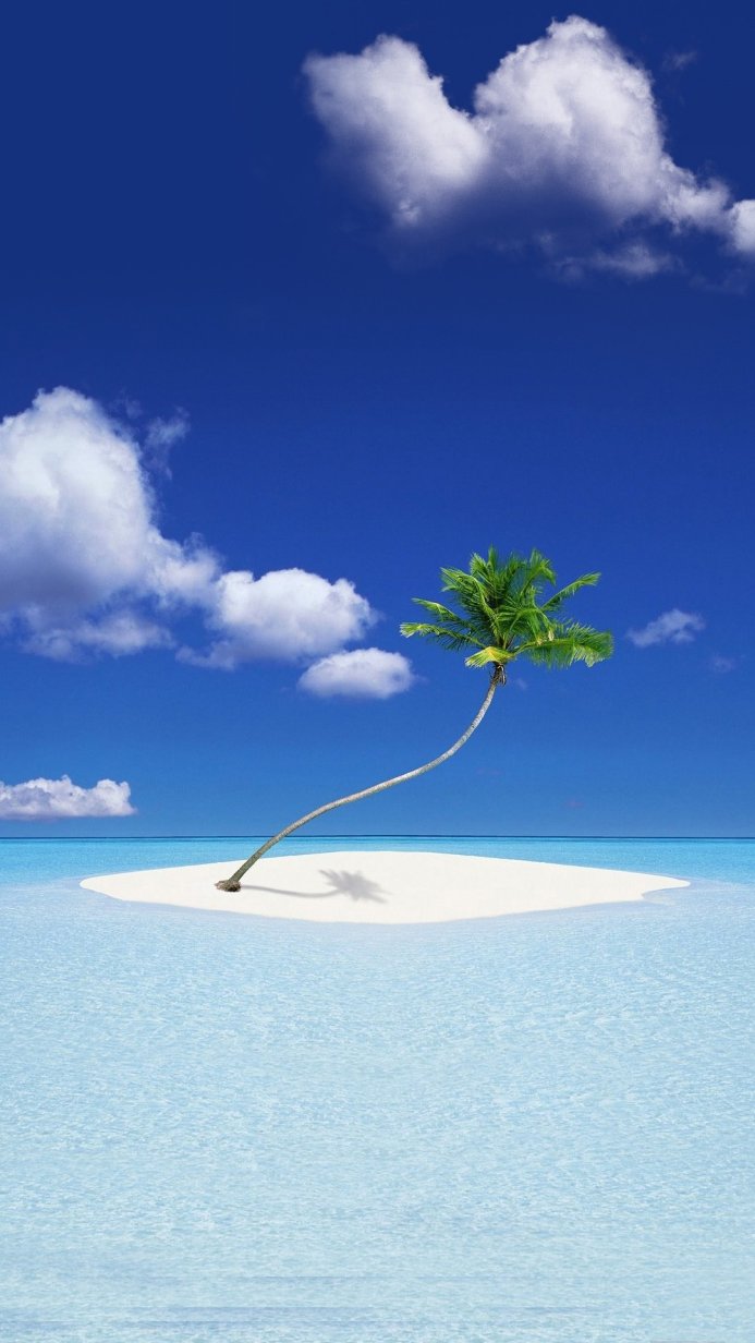A lone palm tree on a small, white sand island surrounded by turquoise water and a clear blue sky