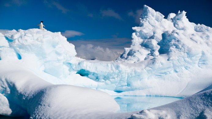 A penguin standing on an iceberg in Antarctica against a blue sky
