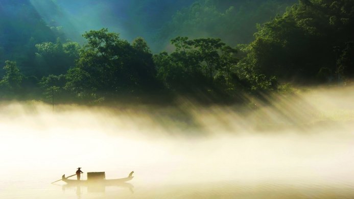 A person rows a boat through the fog on a lake surrounded by trees