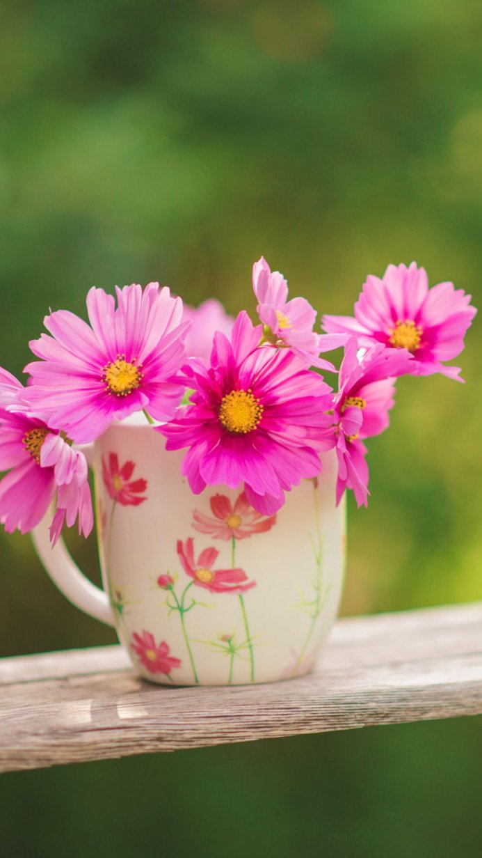 Pink cosmos flowers in a floral mug on a wooden surface against a green background