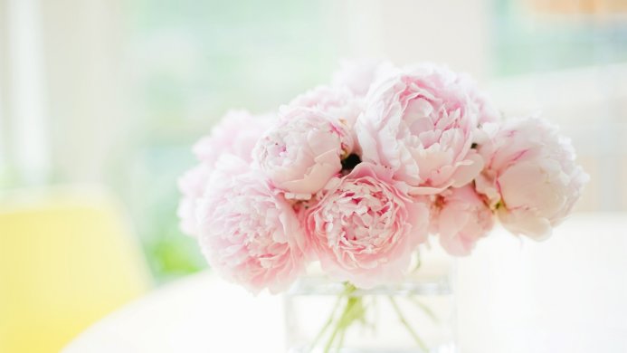 A bouquet of pink peonies in a glass vase sits on a white surface