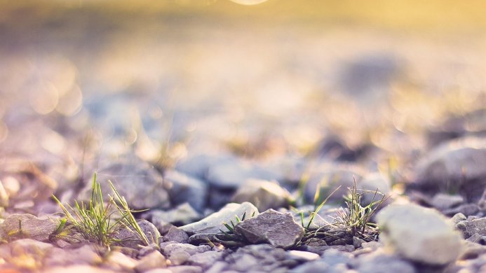 Close up of rocks and sparse grass with bokeh background