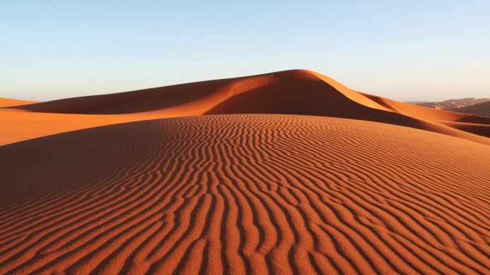 Sand dunes with ripple patterns in desert under a clear sky