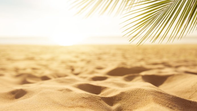Sandy beach with palm leaf in the corner and sunshine