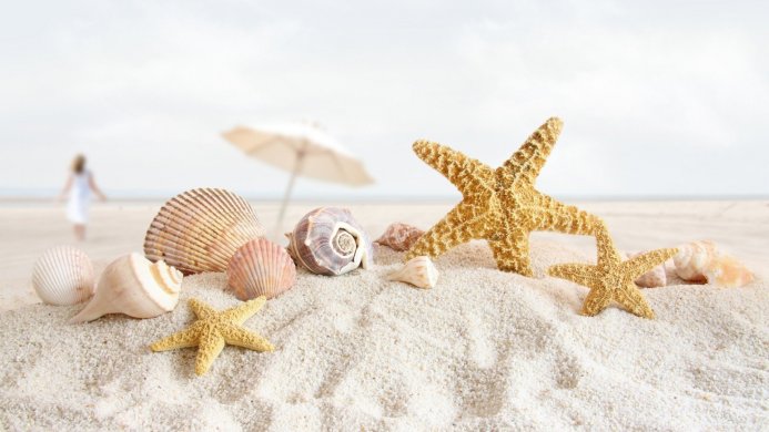 Seashells and starfish on the sand with a woman and umbrella in the background
