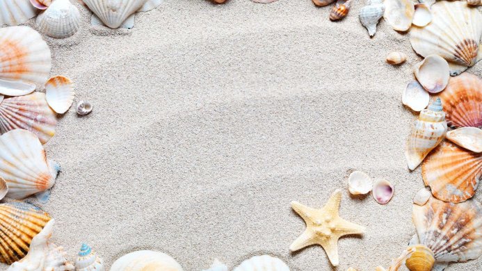 Seashells and a starfish arranged around a sandy frame