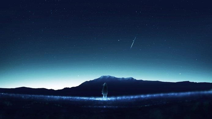 Silhouette of a person against a starry night sky