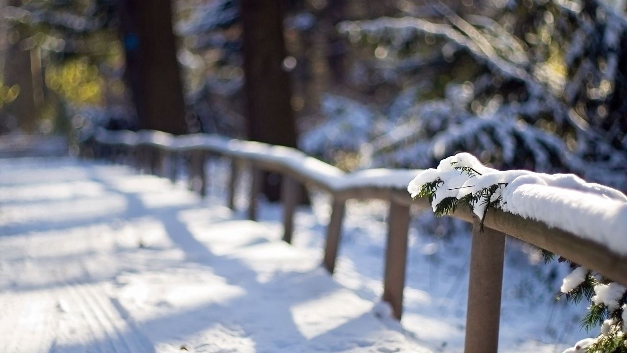 Snowy wooden railing in winter forest