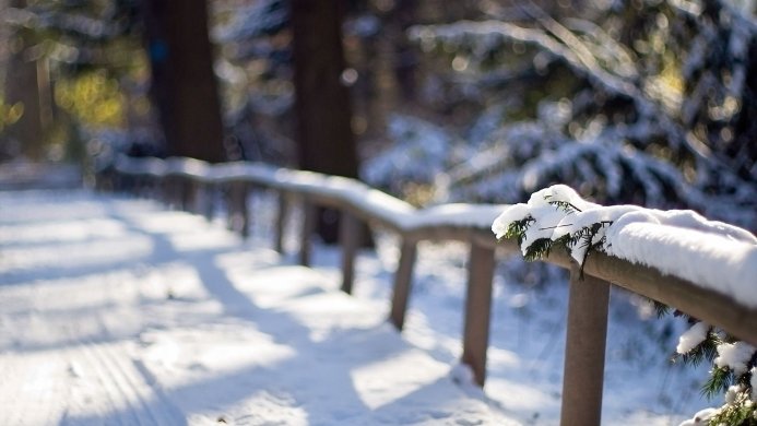Wooden railing covered in snow in a winter forest landscape