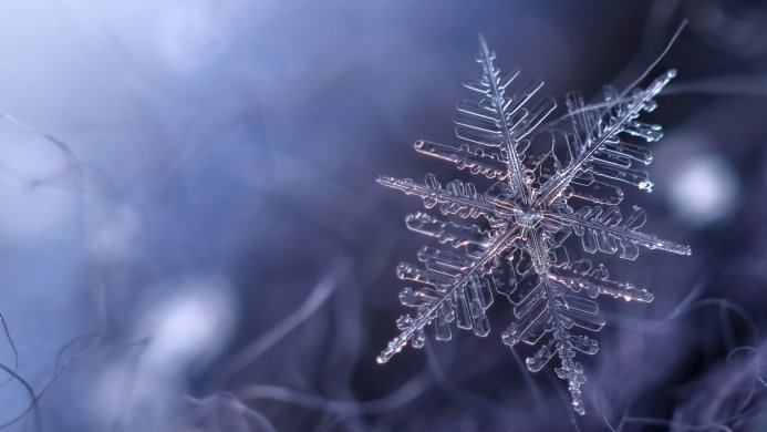 Macro image of a single, intricate snowflake against a blurry blue background
