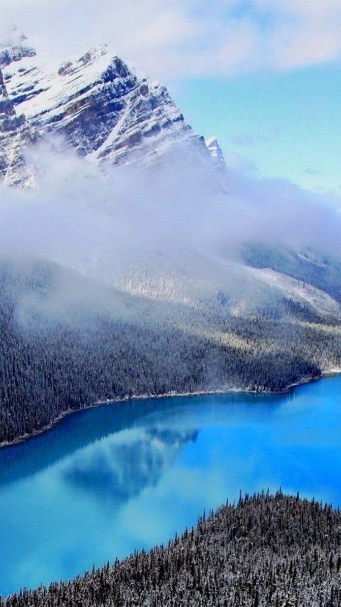 Snowy mountain reflecting in a turquoise lake, surrounded by a forest in winter