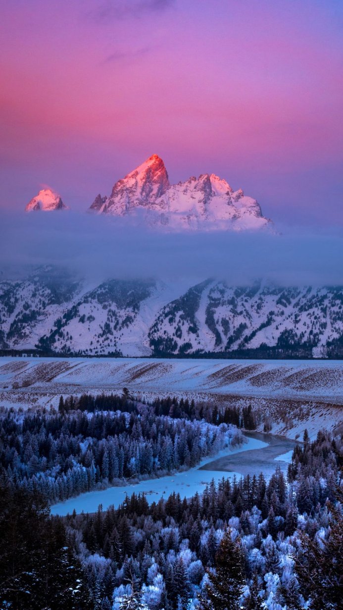Snowy mountains, river, and forest landscape at dawn with pink sky