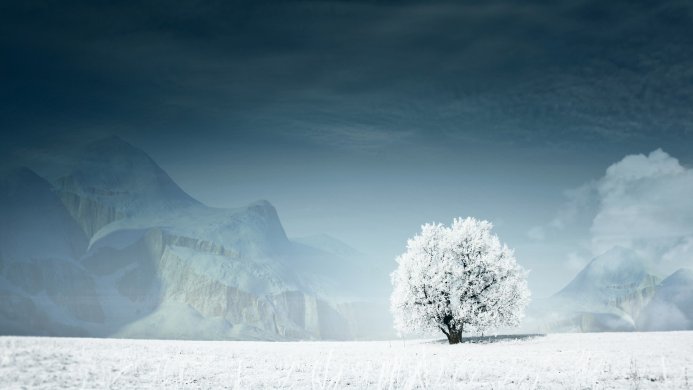 Snowy tree in a winter landscape with mountains and a cloudy sky