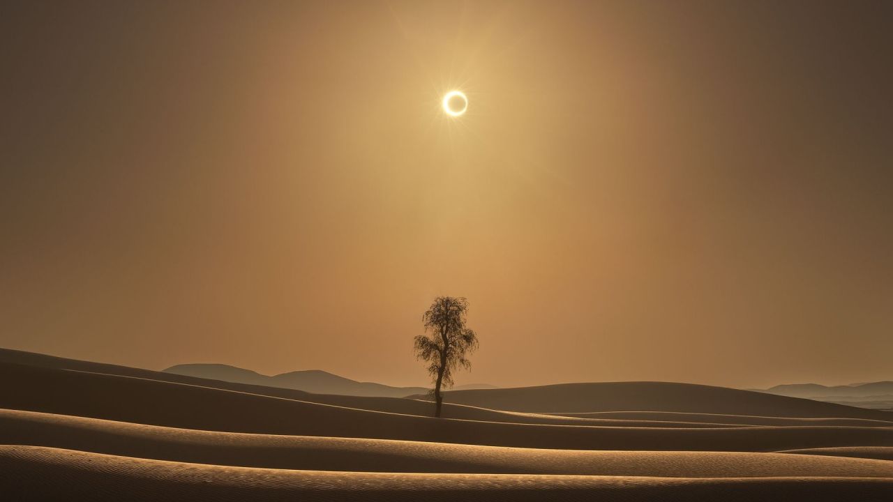 Tree in desert under solar eclipse