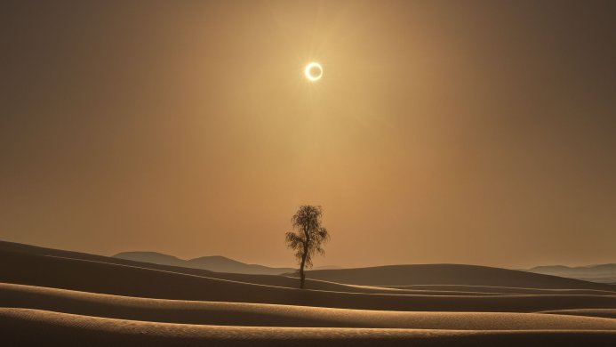 A solar eclipse over a lone tree in a vast desert landscape