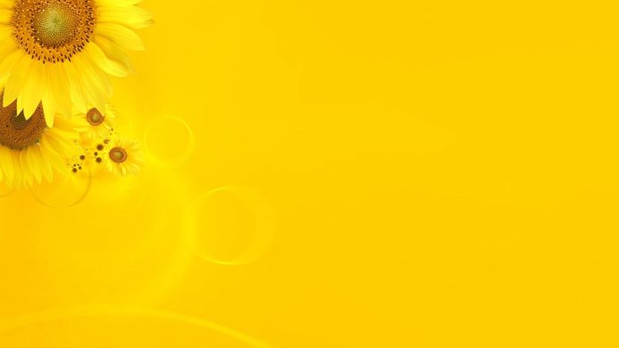 Several sunflowers in the upper left corner of a yellow background