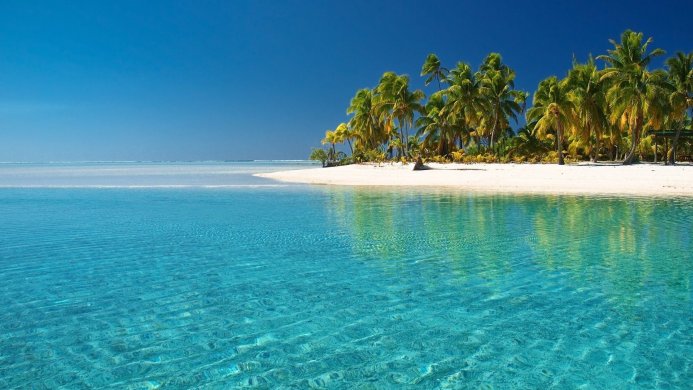 Turquoise water and palm trees on a white sand beach under a clear blue sky