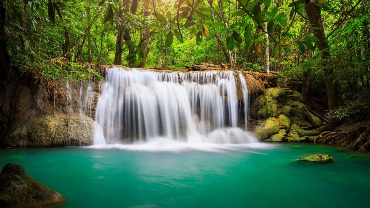 Waterfall in a green forest