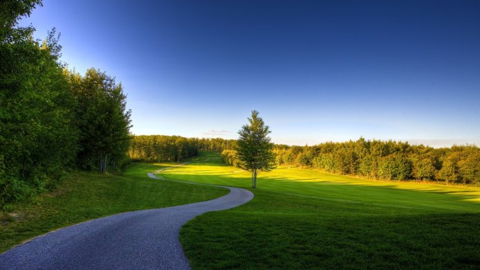 A winding pathway leading through a green golf course under a clear blue sky