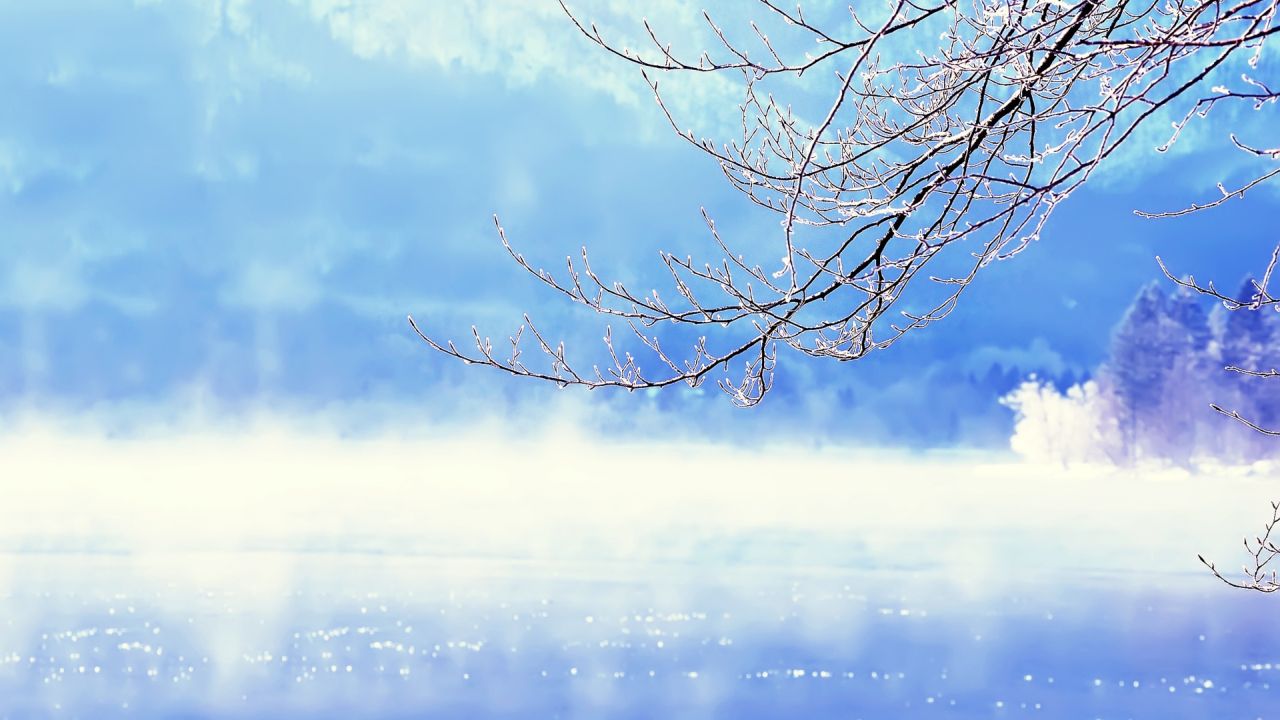 Icy tree branch against a blue winter sky