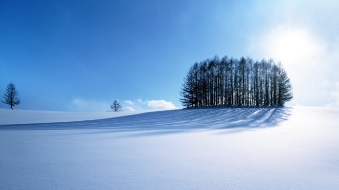 Snowy landscape with trees under a bright blue sky