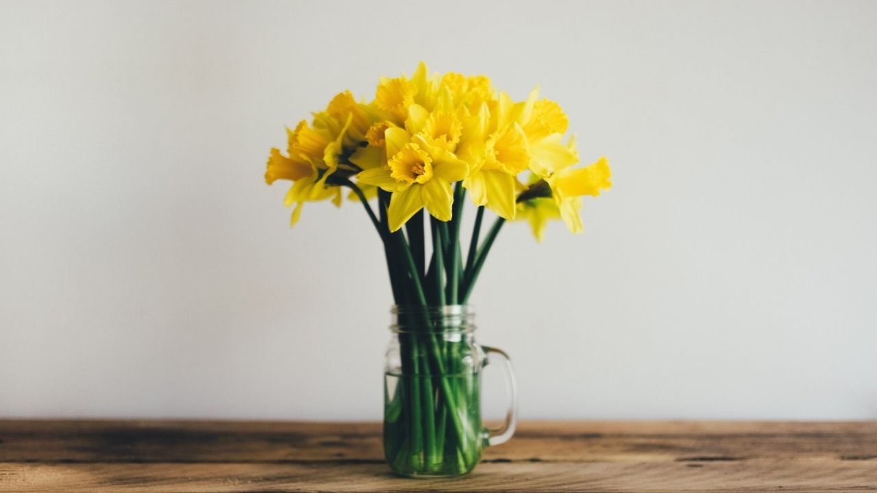 Yellow daffodils in a jar on a wooden table