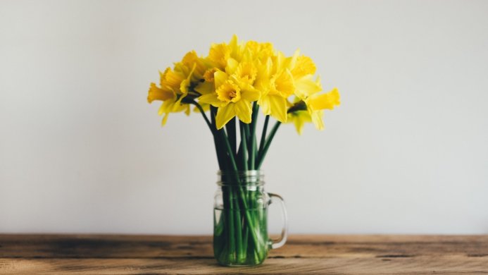 A bouquet of bright yellow daffodils in a mason jar on a wooden surface