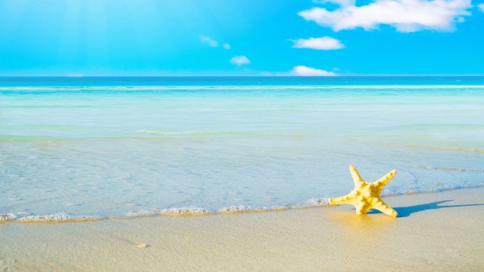 A yellow starfish on a sandy beach with blue sea and sky in the background