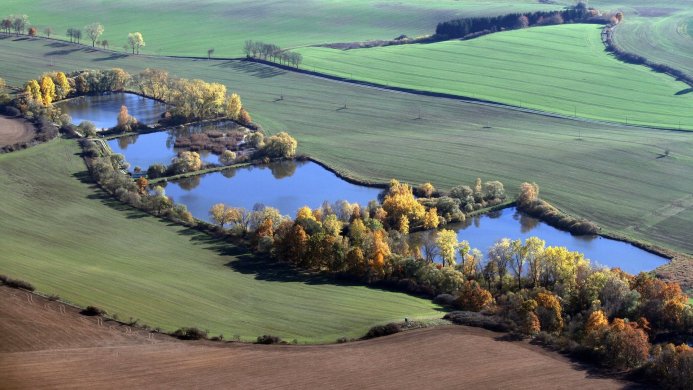 Aerial view of ponds and autumn colored trees surrounded by green and brown fields