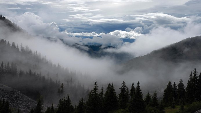 Foggy mountain landscape with pine trees and clouds