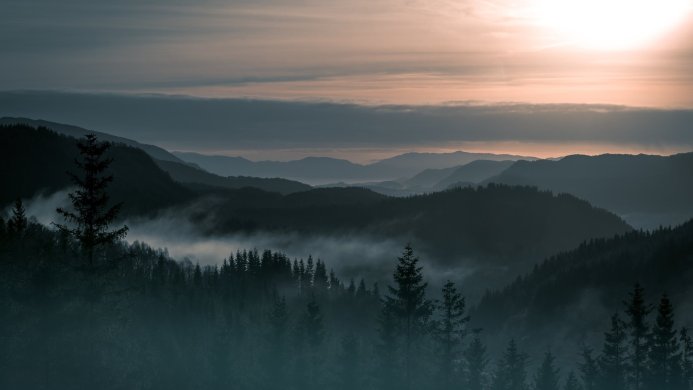 Foggy mountain landscape with silhouetted trees and layers of hills