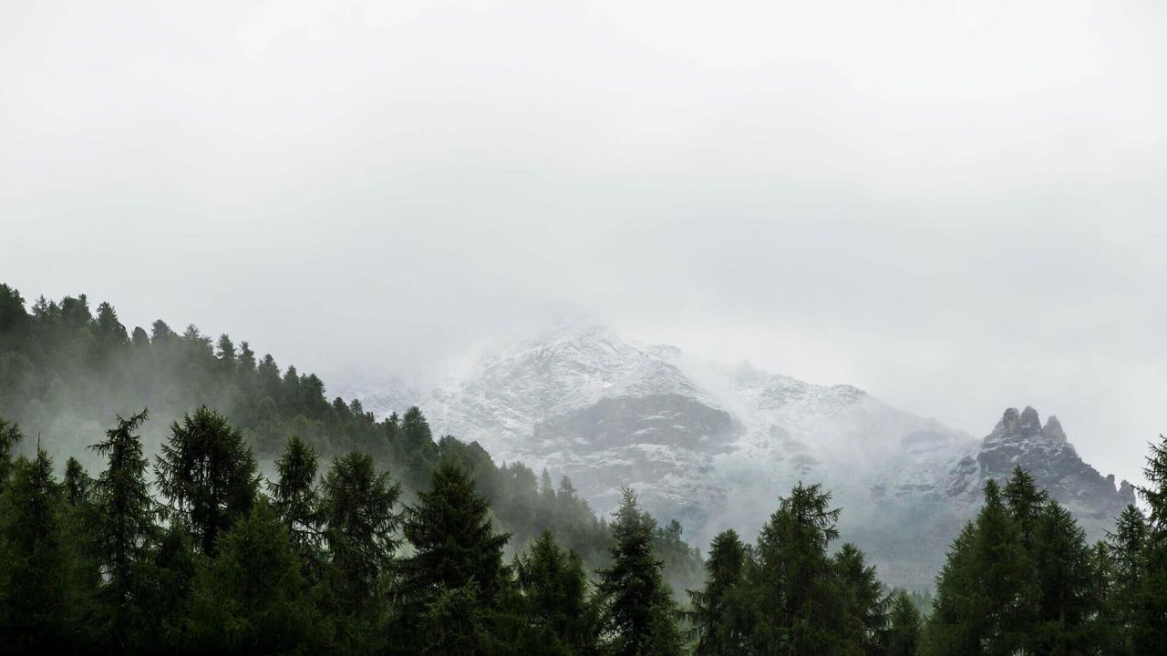 Misty mountain range with green forest