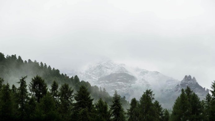 Foggy mountains with snow and green trees in the foreground
