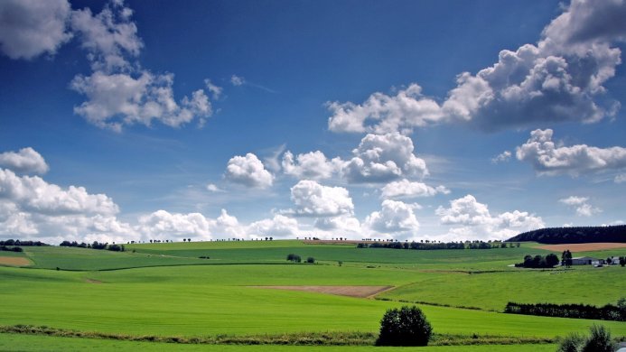 Green fields and white clouds in a blue sky landscape